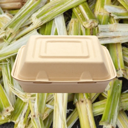 Bagasse Packaging