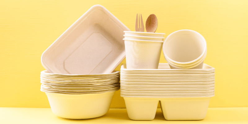 Compostable Container from Bagasse