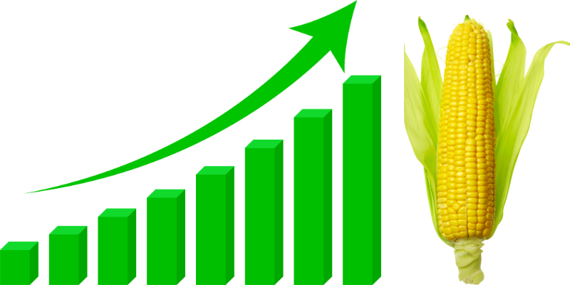 Corn Starch Plastic Market