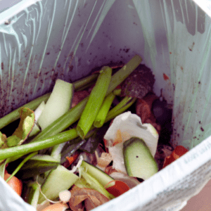 Kitchen Waste