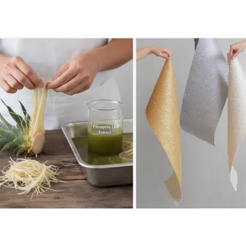 Pineapple Leaf Fiber Packaging