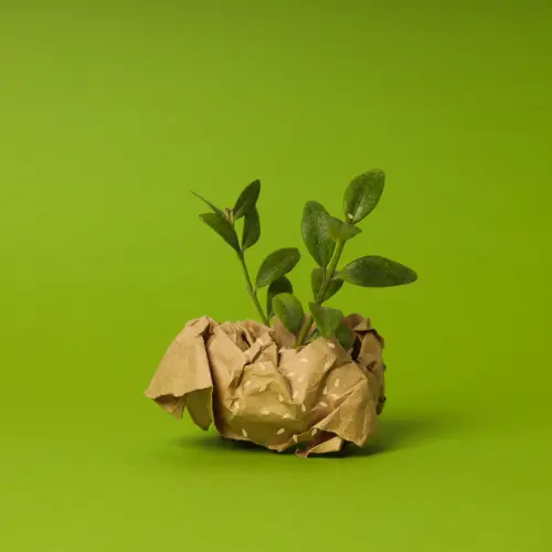 Seed Paper