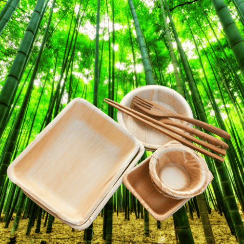 Bamboo Plates and Cutlery