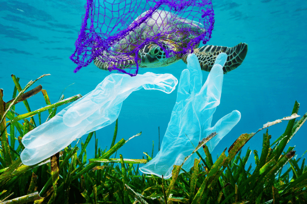 Marine Debris