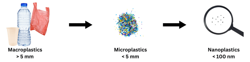 Types of Plastic Waste