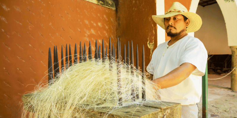 Bamboo Combing for Fiber Separation