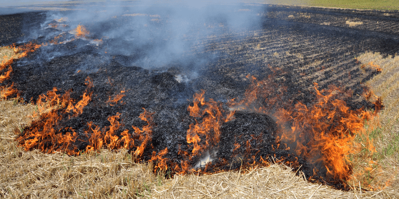 Burning of Wheat Straw