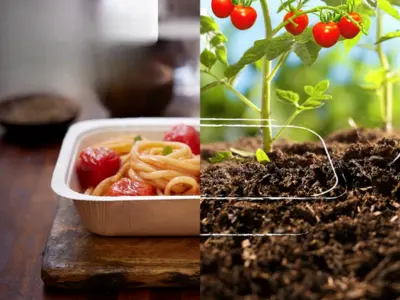 Compostable Paper Food Tray