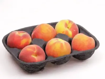 Molded Paper Tray for Fruits