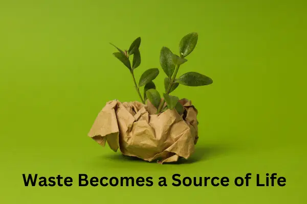 Waste Becomes a Source of Life