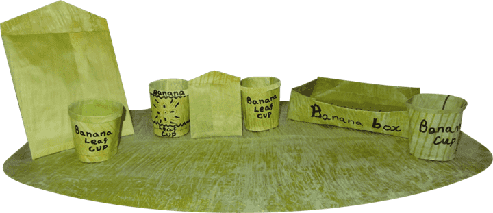 Banana Leaf Packaging
