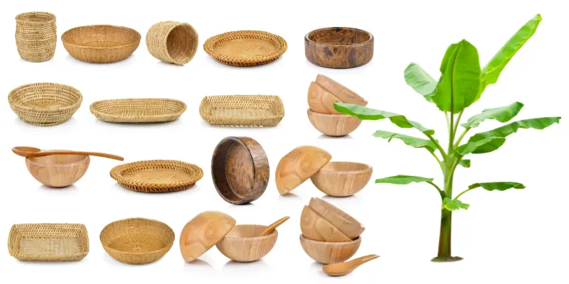 Banana Fiber Products
