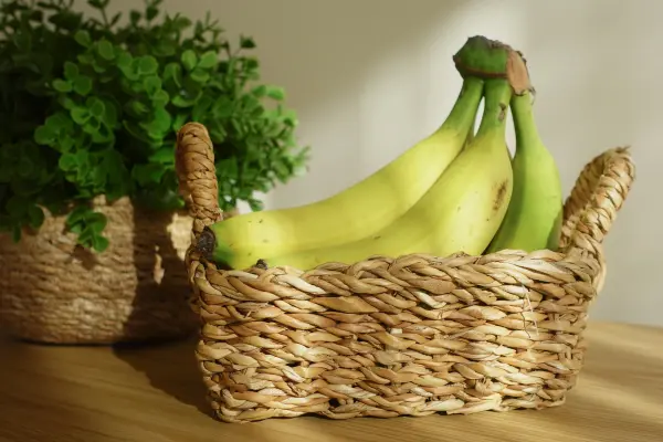 Biodegradable Product from Banana Fiber