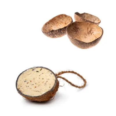 Coconut Shell Packaging for Cream